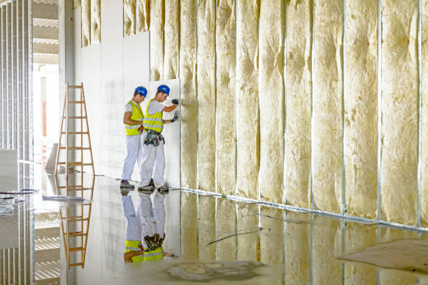 Best Wall Insulation Installation  in Signal Mountain, TN